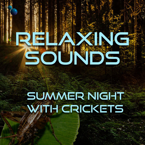 Natural summer night sounds with crickets