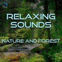 Nature and forest sounds for sleep