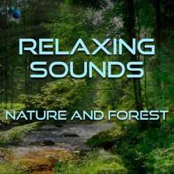 Nature and forest sounds for sleep