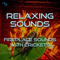 Relaxing fireplace sounds with crickets