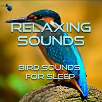 Bird sounds for sleep